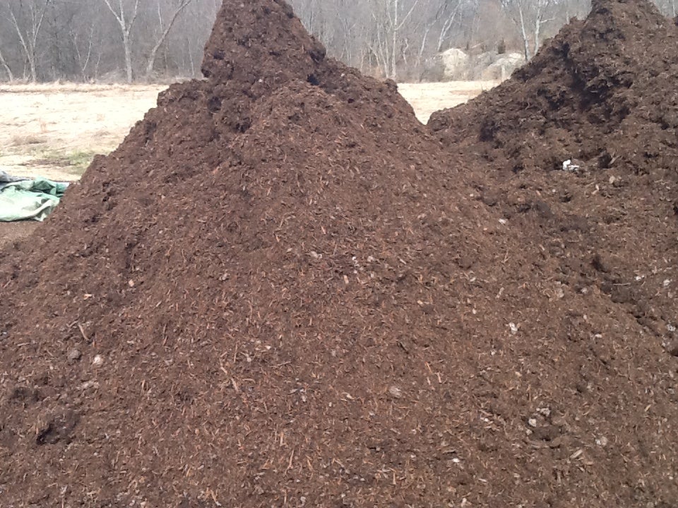 Mushroom soil near me